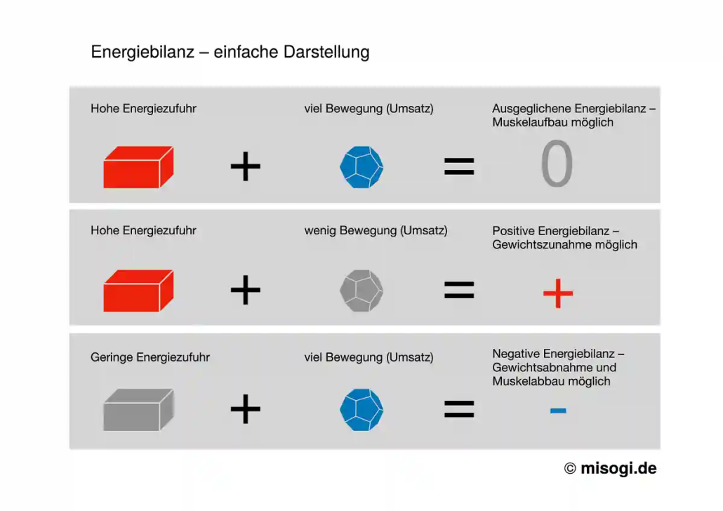 Energiebilanz Infografik